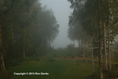DSC_0002-copyright