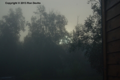 DSC_0005-copyright