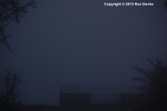 DSC_0009-copyright