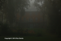 DSC_0014-copyright