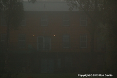 DSC_0015-copyright
