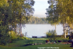 DSC_0017-copyright
