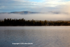 DSC_0020-copyright