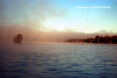 DSC_0021-copyright