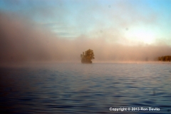 DSC_0022-copyright
