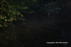 DSC_0024-copyright