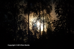 DSC_0036-copyright