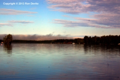 DSC_0042-copyright