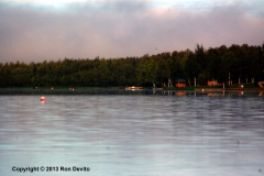 DSC_0053-copyright