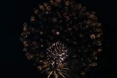 IMG_7840-copyright