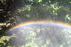2015-07-25 11.15.07