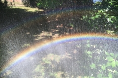 2015-07-25 11.15.21