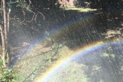 2015-07-25 11.16.12