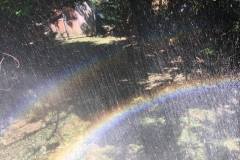2015-07-25 11.16.14