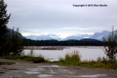 DSC_0159-copyright