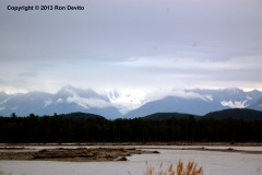 DSC_0160-copyright