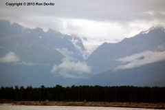 DSC_0165-copyright