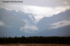 DSC_0166-copyright
