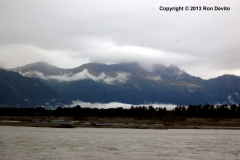 DSC_0172-copyright