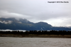 DSC_0173-copyright