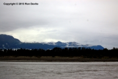 DSC_0174-copyright