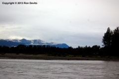 DSC_0175-copyright