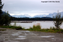 DSC_0176-copyright