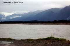 DSC_0179-copyright