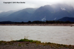 DSC_0180-copyright