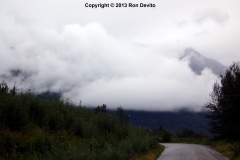 DSC_0211-copyright