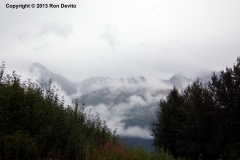 DSC_0212-copyright