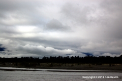 DSC_0128-copyright
