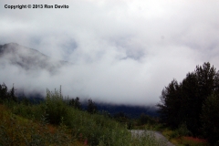 DSC_0130-copyright