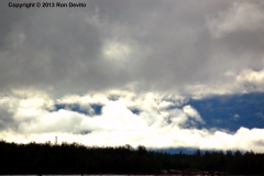 DSC_0132-copyright