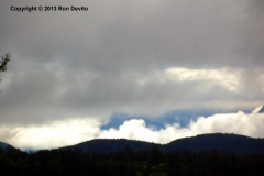 DSC_0133-copyright