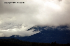 DSC_0135-copyright