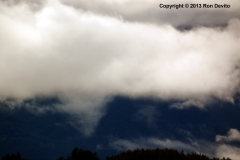 DSC_0136-copyright