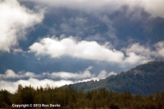 DSC_0137-copyright