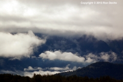 DSC_0138-copyright