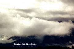 DSC_0139-copyright