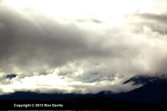 DSC_0140-copyright
