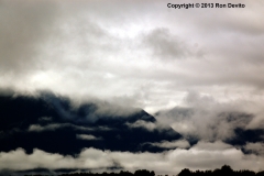DSC_0142-copyright