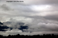 DSC_0143-copyright