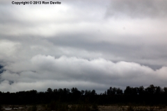 DSC_0144-copyright