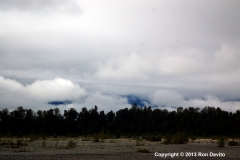 DSC_0145-copyright