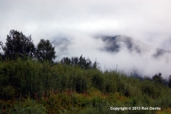 DSC_0147-copyright