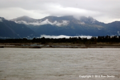 DSC_0183-copyright