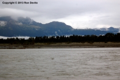 DSC_0184-copyright