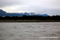 DSC_0185-copyright