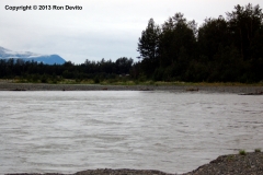 DSC_0186-copyright